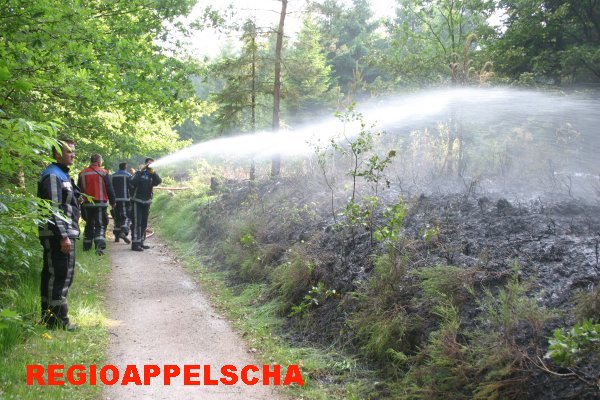 Regio Appelscha